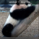 [TUTO] SlantedLock, un Lockscreen d’exception.