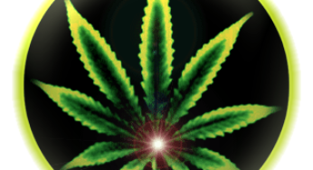 Drogue et cannabis sur iPhone : “Il y a une app pour presque tout”