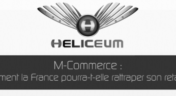 Infographie : le M-commerce en France en 2013