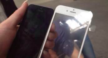 iPhone 6 : une photo de la coque avant ?