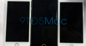 iPhone 6 : photos de modèles or, argent et gris sidéral