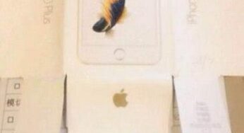 iPhone 6S : première photo du packaging et une batterie réduite ?