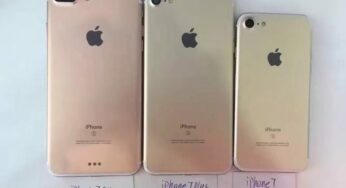 iPhone 7 & iPhone 7 Plus : leurs noms de code sont désormais connus