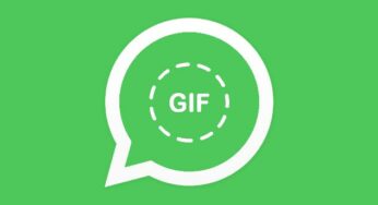 WhatsApp sur iPhone permet de créer & d’envoyer des GIF