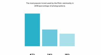 Flickr : près de la moitié des utilisateurs possède un iPhone