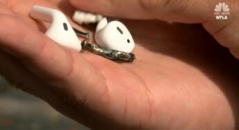 AirPods : Apple lance une enquête suite à l’explosion d’un écouteur