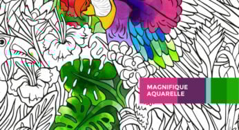 App du jour : Tayasui Color (iPhone & iPad – 3,99€)