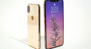 DisplayMate : l’iPhone XS Max a le meilleur écran du marché
