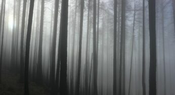 Même avec un iPhone 6, vous pouvez gagner un concours de photographies