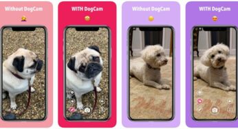 App du jour : DogCam – Dog Selfie Camera (iPhone & iPad – gratuit)