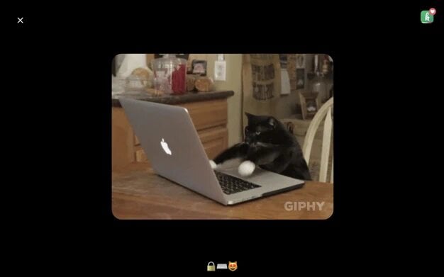 Krub : nettoyez votre Mac en affichant des GIFs de chats