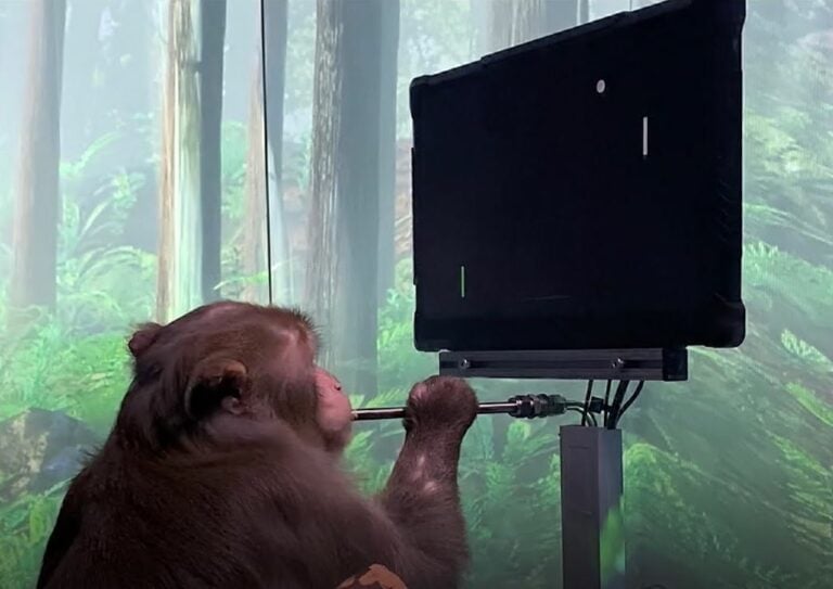 Neuralink d'Elon Musk publie une vidéo d'un singe jouant au Pong avec