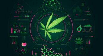 Technologies CBD : à quoi s’attendre dans un avenir proche ?