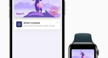 Le permis et la carte d’identité sur l’iPhone arrivent aux États-Unis