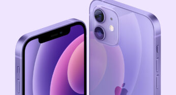 iPhone 14 : un modèle violet en préparation ?