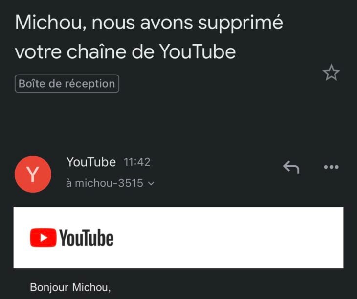 YouTube : la chaîne de Michou piratée puis supprimée !