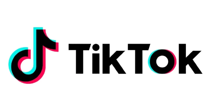 TikTok en France : un chiffre d’affaires en hausse, mais une forte optimisation fiscale