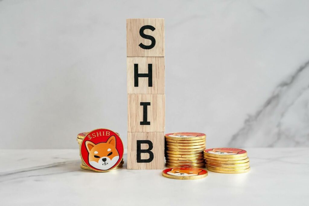 Shiba Inu & Dogecoin s'effondrent : NuggetRush (NUGX), nouveau roi des mèmes ?