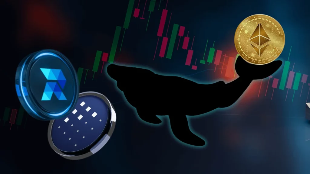 Cryptos : les baleines achètent 200 000 ETH en 3 jours ; le smart money arrive dans RCOF &amp; FET