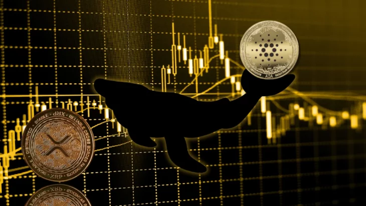 Cryptos : les traders achètent ce rival de Cardano (ADA) & Ripple (XRP) avant le bull run d’octobre