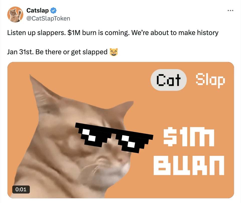 Catslap annonce un burn de 1 million de $ : +42% pour SLAP en 7 jours, qui éclipse Popcat (+13%)