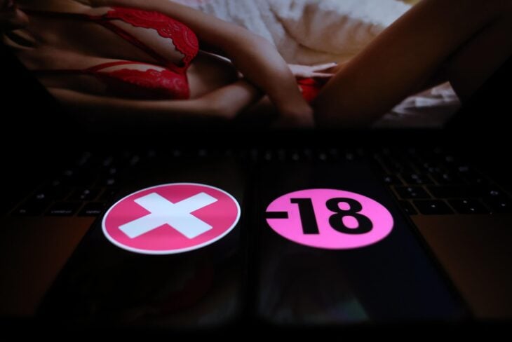 Xhamster, Tukif : la justice débloque temporairement les sites pornos en France