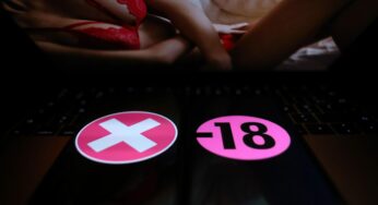Xhamster, Tukif : la justice débloque temporairement les sites pornos en France