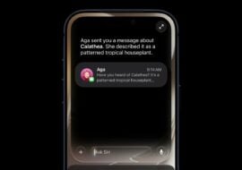 Apple indique que le nouveau Siri est compatible avec ces iPhone, iPad et Mac